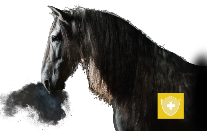 Kat equinova immunsystem